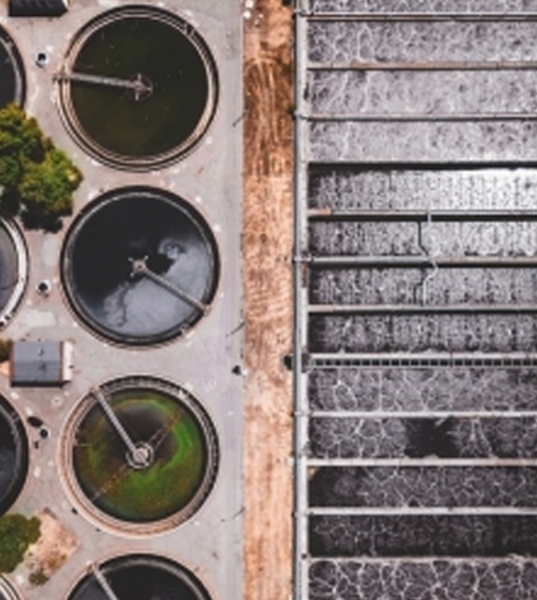 AP 2160 Katyonik Toz Polimer 1