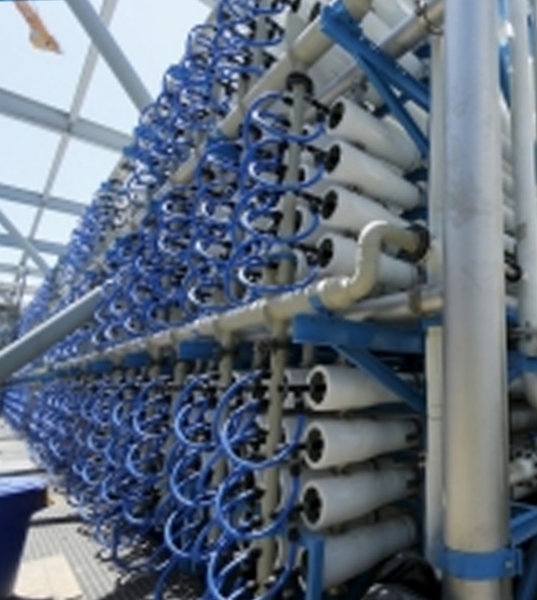 AP 430 Deaktivasyon Ürünü 1