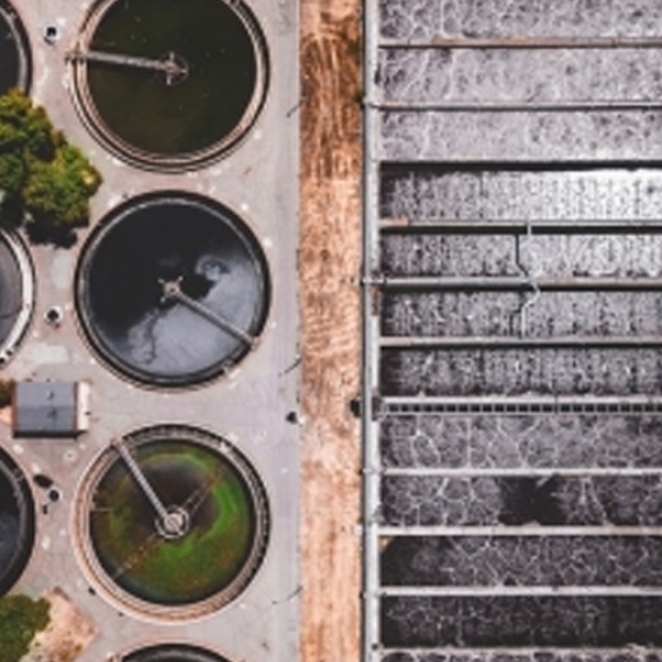 AP 2170 Anyonik Polikelekrolit